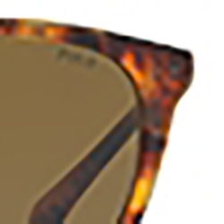 Shiny Havana Jerry
