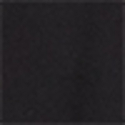 Polo Black