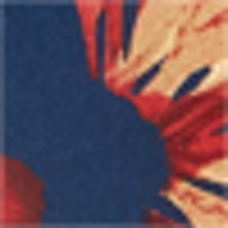 Navy Floral/Caramel