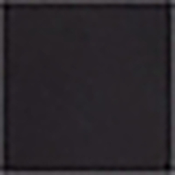 Hudson Black Stretch