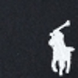 Polo Black