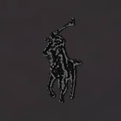 Polo Black