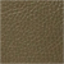 Loden