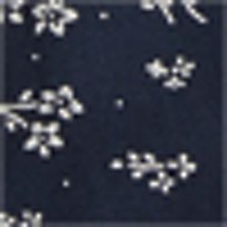 Indigo Floral