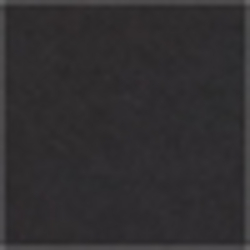 Polo Black