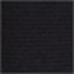 Polo Black