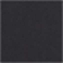 Polo Black