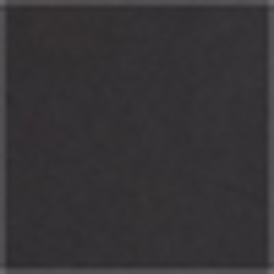 Polo Black
