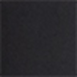 Polo Black
