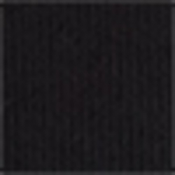 Polo Black