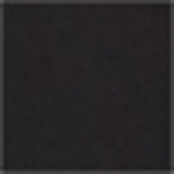 Polo Black