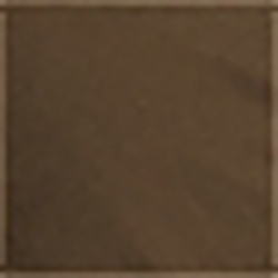 Alpine Brown