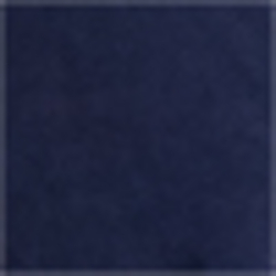 Cruise Navy