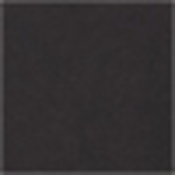Polo Black