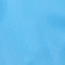 Florida Blue