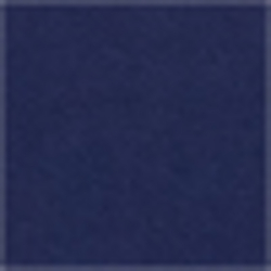Cruise Navy