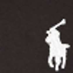 Polo Black