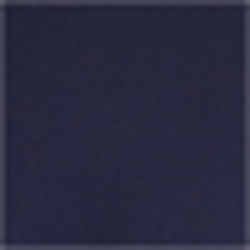 Cruise Navy