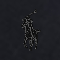 Polo Black