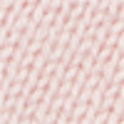 Pale Rose