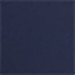 Spring Navy