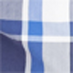Blue/White Multi Plaid