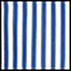 Royal Blue/White