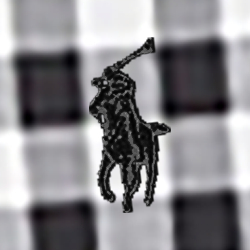 Black Check
