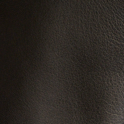 Polo Black