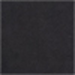 Polo Black