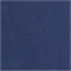 Newport Navy