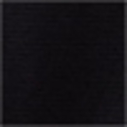 Polo Black