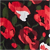 Lipstick Multi