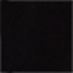 Polo Black