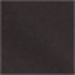 Polo Black