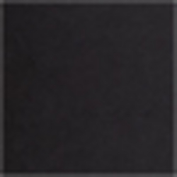 Polo Black