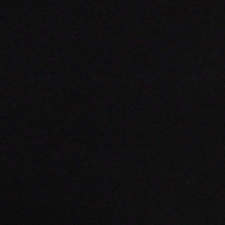 Polo Black