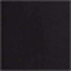 Polo Black