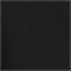 Polo Black
