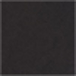 Polo Black
