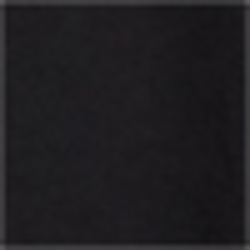Polo Black