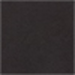 Polo Black