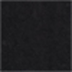 Polo Black