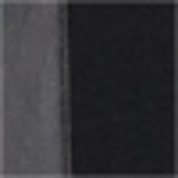 Polo Black