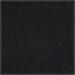 Polo Black