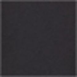Polo Black