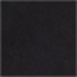 Polo Black