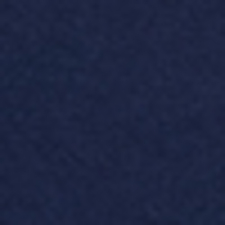True Indigo