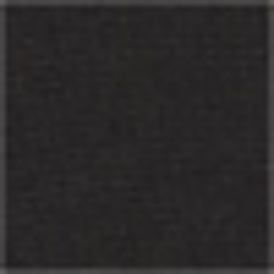 Polo Black