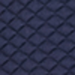 Spring Navy